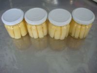 canned white asparagus