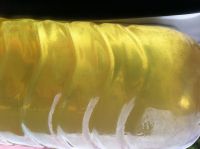 Used Hydraulic Oil
