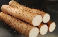 Wild Yam Extract