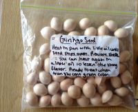 Fresh Ginkgo nuts / Ginkgo Seeds