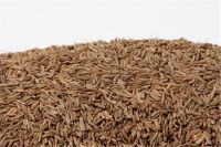 Top Quality Caraway Seeds,Cumin Seeds,Black Cumin Seeds, Anise Seeds,Ajwain Seeds,Fennel Seeds Available In Bulk