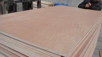 Pine Face Timber Boards - Shutter plywood 18mm (1220 x 2440mm) For Building, Concrere