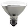 LED Bulb PAR30