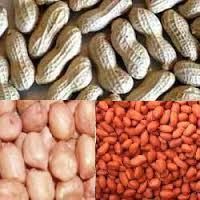 GROUND NUTS (Peanuts)