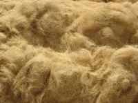 Coconut Fiber From India