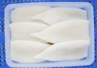 frozen squid tubes best quality