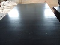brown and black film plywood 110