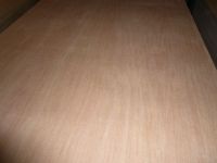 okoume and bintangor plywood