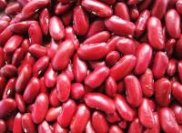 Red Kidney Beans