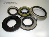 Oil Seal