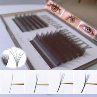 High-quality single-root multi-tipped cartoon-style camellia flower eyelashes specially designed for eyelash salons From China