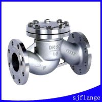 Lift Check Valve