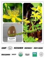 Anti-depressive 100% natural St. John's Wort  Extract Hypericins