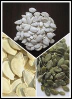 pumpkin seeds GWS