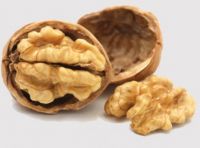 Walnuts kernel