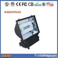 Induction Lamp Flood Light