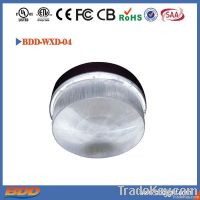 Induction Lamp Garage Light Ceiling Lighting