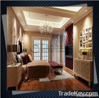 Low cost House Interior Design