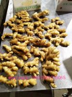 China fresh ginger 10kg PVC box, yellow ginger low price offer