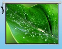 Projection Screen;projector Screen