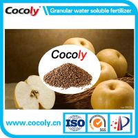 Cocoly complete nutritional water soluble fertilizer in granular shape From China