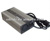 automatic battery charger for electric vehicle From China