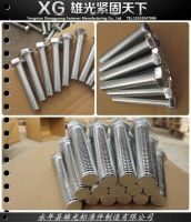 hex bolt 