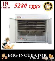 Large Capacity 5280 eggs Best Selling Wholesale Price Automatic large