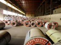 Galvanized Steel Coil