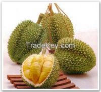 DURIAN