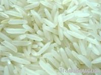 MOUNA RICE