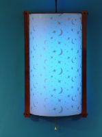 Wall Mounted Insect Killer Lamp