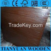 Qingdao Goldluck Film Faced Plywood, Constrution