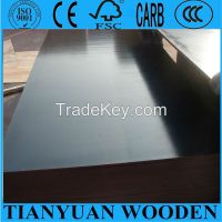 film faced plywood, concrete formwork, shuttering plywood