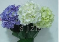 Hydrangea  from 5 floor single flower