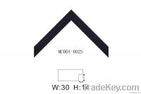 PS Frame, PS Molding, PS Home