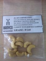 cashew nut