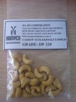 cashew nut