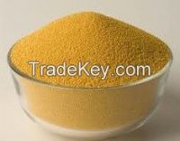 Corn Gluten
