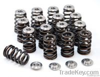 Shock absorber spring
