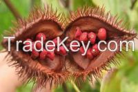 ANNATTO SEEDS