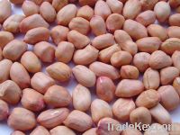 The best peanut kernels from china