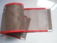 PTFE coated fiberglass mesh fabric From China