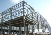 Steel Structure Storehouse/Building