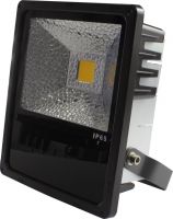 Led Flood Light
