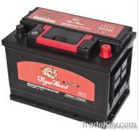 12 V Maintenance Free Starting Car