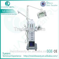 Stationary 19 in 1 Multifunction Beauty Equipment with magnifying lamp