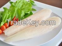 PANGASIUS FILLET FROZEN IN ROLL SHAPE