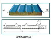 EPS sandwich panel