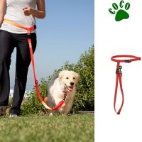 Handsfree dog collars and leashes For Running Jogging Walking Training. EASY